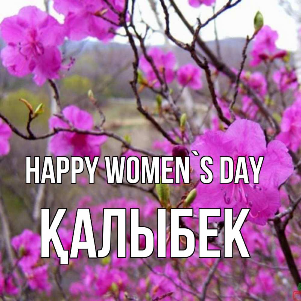 Greetings card с именем, Қалыбек happy women`s day международный женский день Greetings with text for free download 